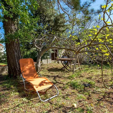 3 Bedroom Lovely In